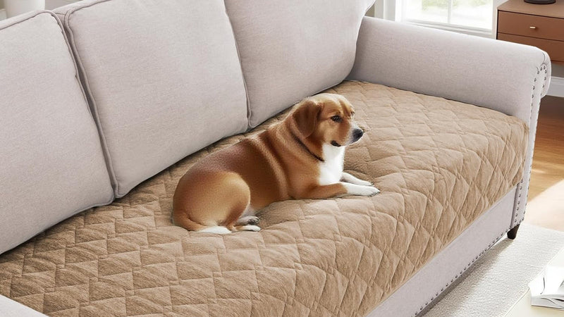 Choosing the perfect sofa