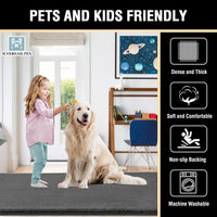 H.VERSAILTEX Area Rug Super Soft Faux Fur Rugs Carpets Furry Kids Room Nursery Rug Bedroom Living Room Carpet High Pile Throw Rug Shag Plush Rug for Dorm Room Teen Room Decor